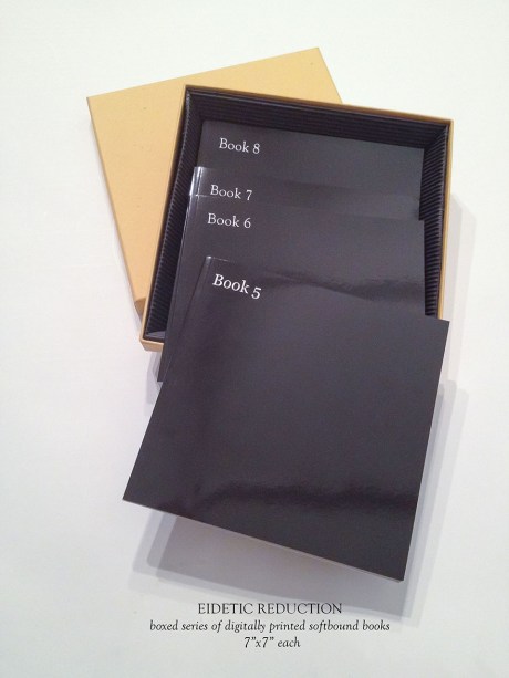 from the series: Eidetic Reduction